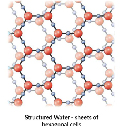 pool tiger water 1.png