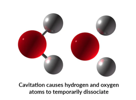 pool tiger water 2.png