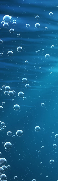 pool tiger water.png